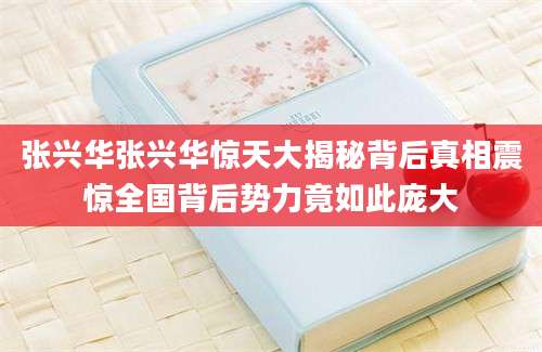 张兴华张兴华惊天大揭秘背后真相震惊全国背后势力竟如此庞大