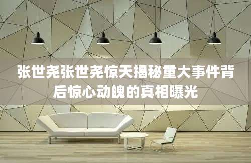 张世尧张世尧惊天揭秘重大事件背后惊心动魄的真相曝光