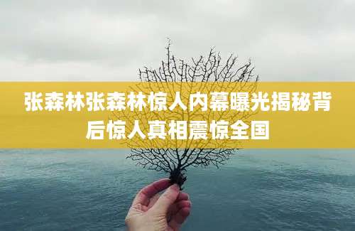 张森林张森林惊人内幕曝光揭秘背后惊人真相震惊全国
