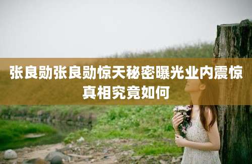 张良勋张良勋惊天秘密曝光业内震惊真相究竟如何
