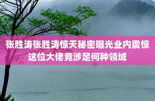 张胜涛张胜涛惊天秘密曝光业内震惊这位大佬竟涉足何种领域