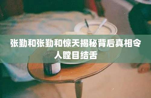 张勤和张勤和惊天揭秘背后真相令人瞠目结舌