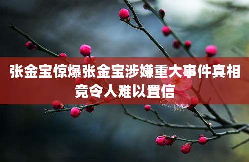 张金宝惊爆张金宝涉嫌重大事件真相竟令人难以置信