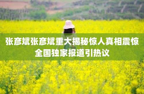 张彦斌张彦斌重大揭秘惊人真相震惊全国独家报道引热议