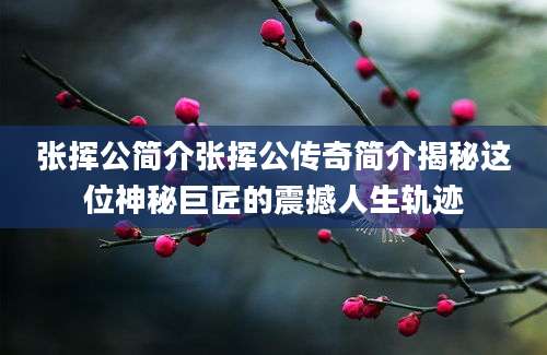 张挥公简介张挥公传奇简介揭秘这位神秘巨匠的震撼人生轨迹