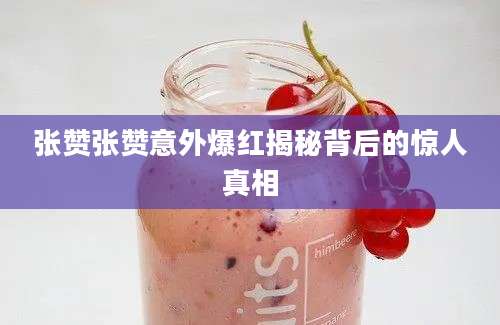张赞张赞意外爆红揭秘背后的惊人真相