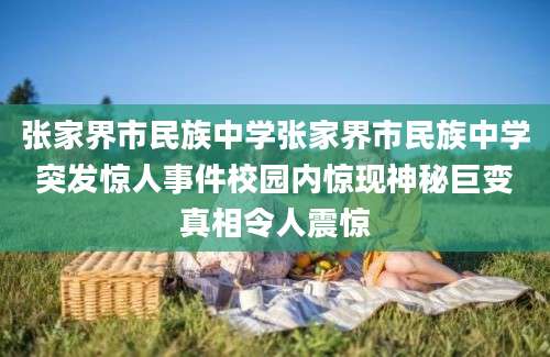 张家界市民族中学张家界市民族中学突发惊人事件校园内惊现神秘巨变真相令人震惊