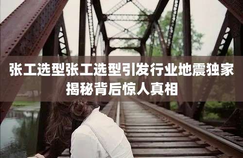 张工选型张工选型引发行业地震独家揭秘背后惊人真相