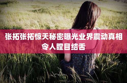 张拓张拓惊天秘密曝光业界震动真相令人瞠目结舌