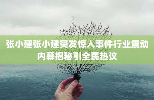 张小建张小建突发惊人事件行业震动内幕揭秘引全民热议