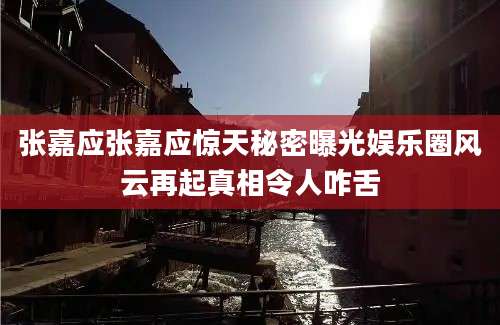 张嘉应张嘉应惊天秘密曝光娱乐圈风云再起真相令人咋舌