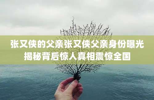 张又侠的父亲张又侠父亲身份曝光揭秘背后惊人真相震惊全国