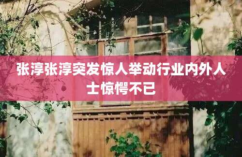 张淳张淳突发惊人举动行业内外人士惊愕不已