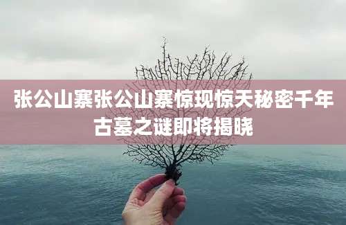 张公山寨张公山寨惊现惊天秘密千年古墓之谜即将揭晓