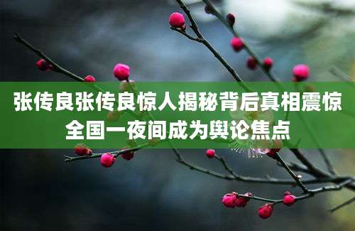 张传良张传良惊人揭秘背后真相震惊全国一夜间成为舆论焦点