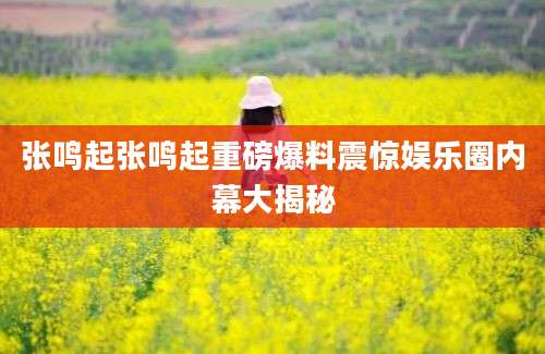 张鸣起张鸣起重磅爆料震惊娱乐圈内幕大揭秘