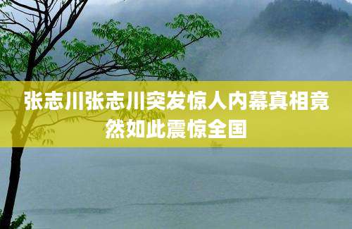 张志川张志川突发惊人内幕真相竟然如此震惊全国