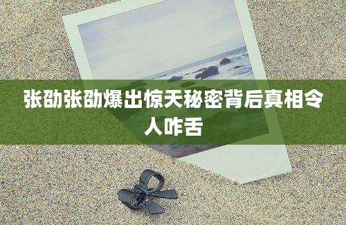 张劭张劭爆出惊天秘密背后真相令人咋舌