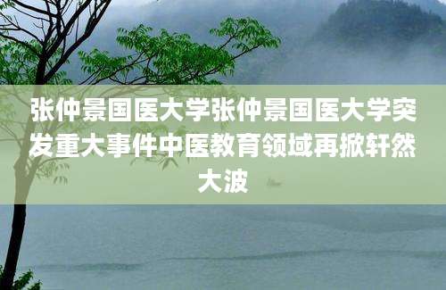 张仲景国医大学张仲景国医大学突发重大事件中医教育领域再掀轩然大波