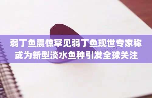弱丁鱼震惊罕见弱丁鱼现世专家称或为新型淡水鱼种引发全球关注