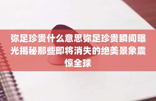 弥足珍贵什么意思弥足珍贵瞬间曝光揭秘那些即将消失的绝美景象震惊全球