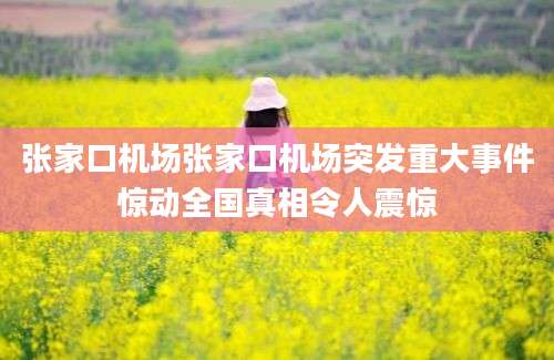 张家口机场张家口机场突发重大事件惊动全国真相令人震惊