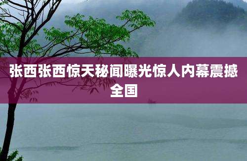 张西张西惊天秘闻曝光惊人内幕震撼全国