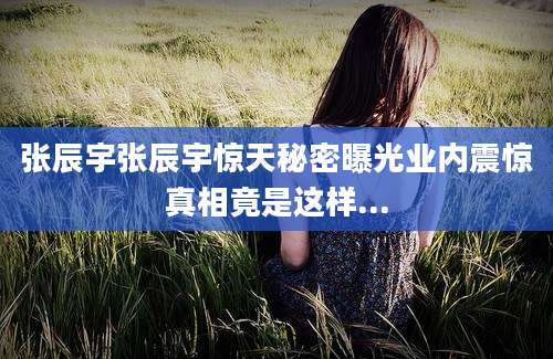 张辰宇张辰宇惊天秘密曝光业内震惊真相竟是这样...