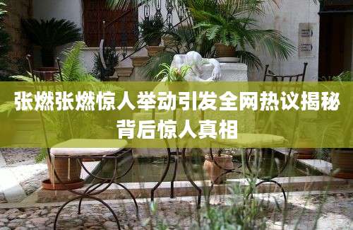 张燃张燃惊人举动引发全网热议揭秘背后惊人真相