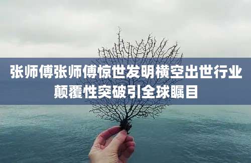 张师傅张师傅惊世发明横空出世行业颠覆性突破引全球瞩目