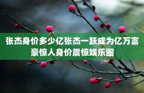 张杰身价多少亿张杰一跃成为亿万富豪惊人身价震惊娱乐圈