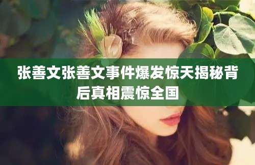 张善文张善文事件爆发惊天揭秘背后真相震惊全国