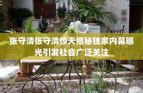 张守清张守清惊天揭秘独家内幕曝光引发社会广泛关注