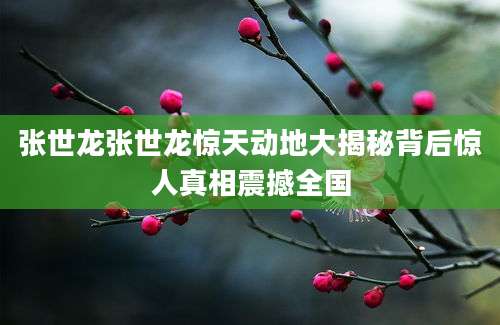 张世龙张世龙惊天动地大揭秘背后惊人真相震撼全国