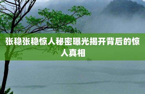 张稳张稳惊人秘密曝光揭开背后的惊人真相