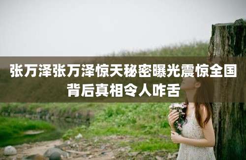 张万泽张万泽惊天秘密曝光震惊全国背后真相令人咋舌