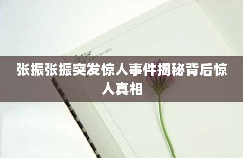 张振张振突发惊人事件揭秘背后惊人真相