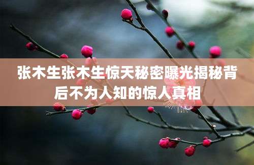 张木生张木生惊天秘密曝光揭秘背后不为人知的惊人真相