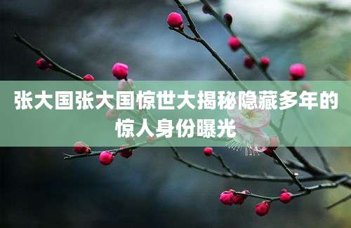 张大国张大国惊世大揭秘隐藏多年的惊人身份曝光