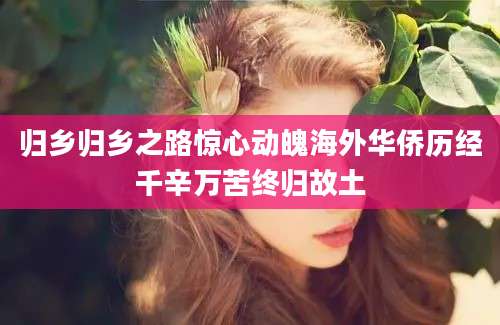 归乡归乡之路惊心动魄海外华侨历经千辛万苦终归故土