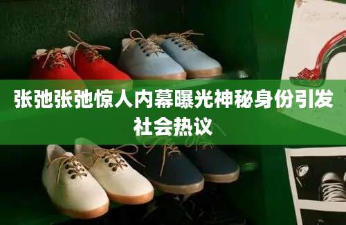 张弛张弛惊人内幕曝光神秘身份引发社会热议