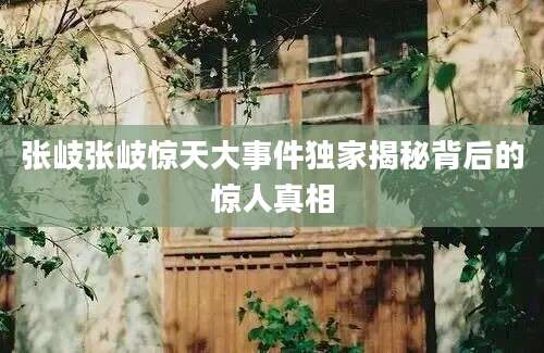 张岐张岐惊天大事件独家揭秘背后的惊人真相