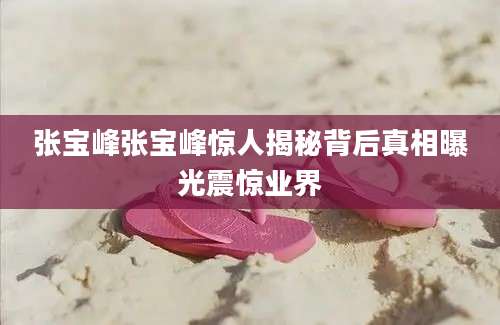 张宝峰张宝峰惊人揭秘背后真相曝光震惊业界