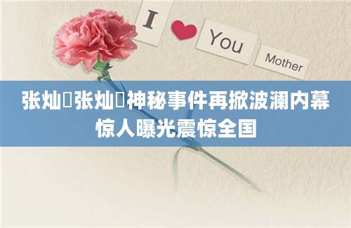 张灿玾张灿玾神秘事件再掀波澜内幕惊人曝光震惊全国