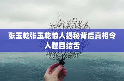 张玉乾张玉乾惊人揭秘背后真相令人瞠目结舌