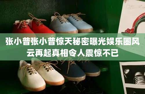 张小普张小普惊天秘密曝光娱乐圈风云再起真相令人震惊不已
