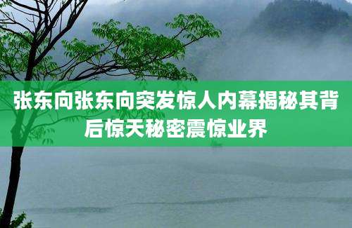 张东向张东向突发惊人内幕揭秘其背后惊天秘密震惊业界