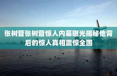 张树营张树营惊人内幕曝光揭秘他背后的惊人真相震惊全国
