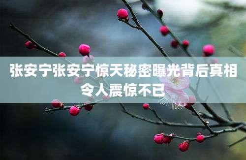 张安宁张安宁惊天秘密曝光背后真相令人震惊不已