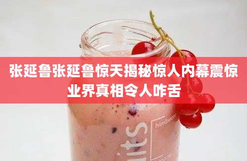 张延鲁张延鲁惊天揭秘惊人内幕震惊业界真相令人咋舌